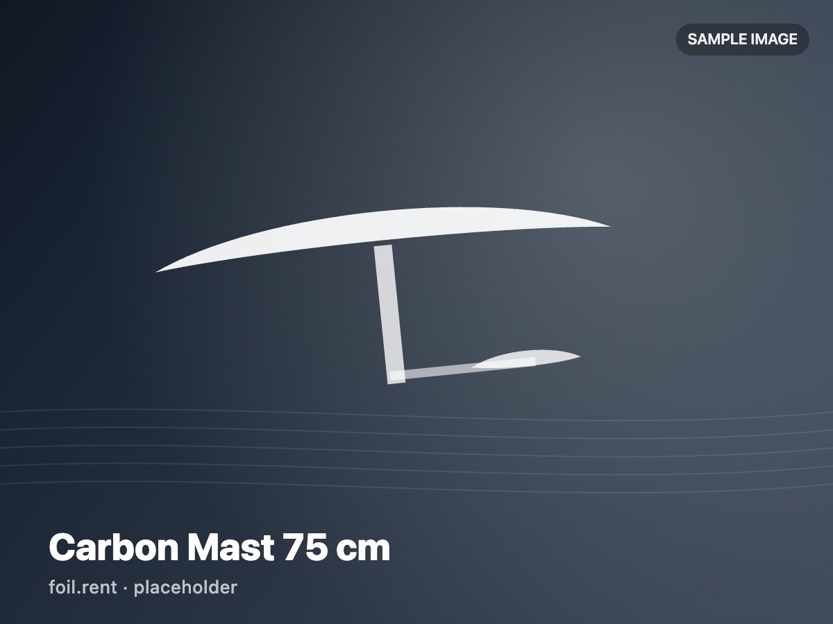 Carbon Mast 75 cm